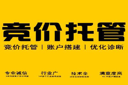 SEM代运营托管公司案例剖析